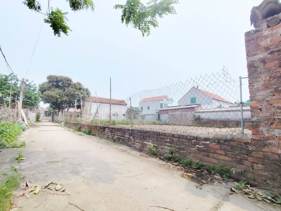 Đất nền Đông Tảo Khoái Châu 755m² giá 1.54 tỷ - Đầu tư sinh lời ngay!