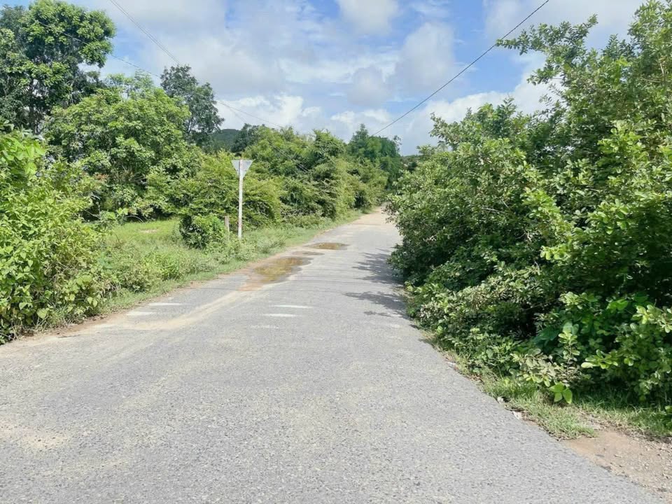 Đất chính chủ 14.500m² tại Quốc lộ 1A, Bắc Bình - Giá chỉ 15 tỷ!