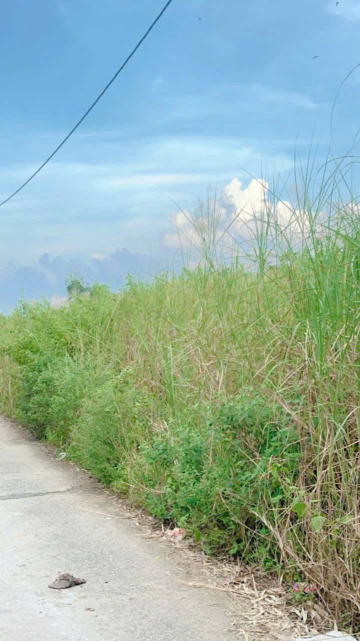 Đất nền đẹp ấp Kinh 7B, Tân Hiệp, Kiên Giang 183m² giá 390 triệu - Sổ hồng chính chủ!