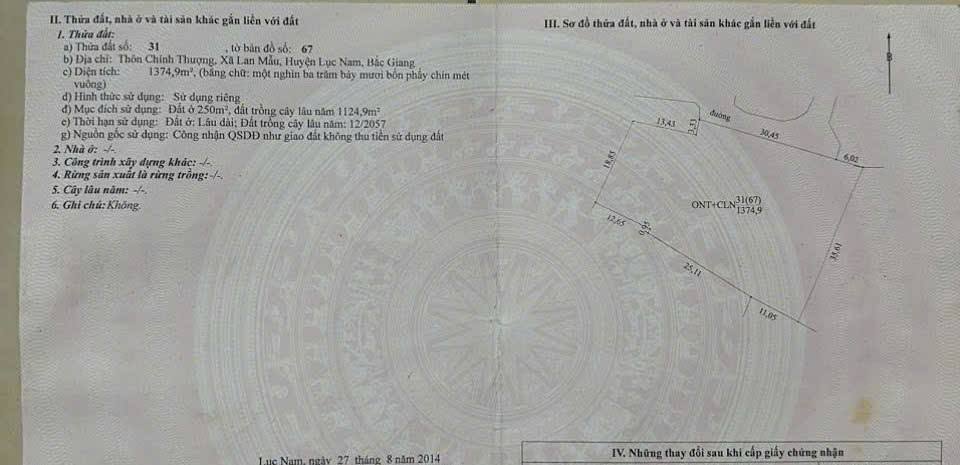 Đất nền Chính Thượng - Lan Mẫu 1375m² cần bán - Pháp lý rõ ràng, giao thông thuận tiện!