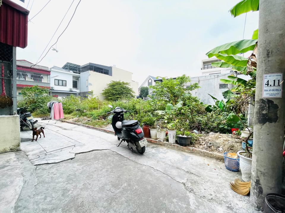 Đất nền Tổ 6, Phường An Hải, 41m² giá 900 triệu - Cắt lỗ cần bán gấp!