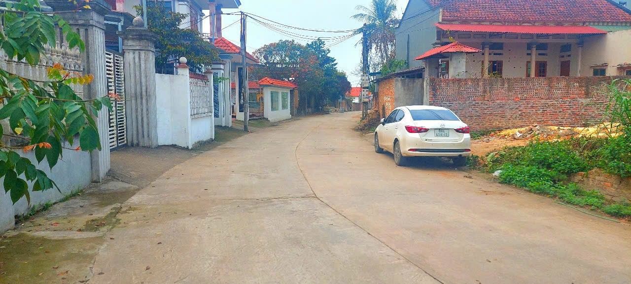 Đất thổ cư 94m² tại Hướng Đạo, Tam Dương - Giá chỉ 1 tỷ, cơ hội đầu tư tuyệt vời!