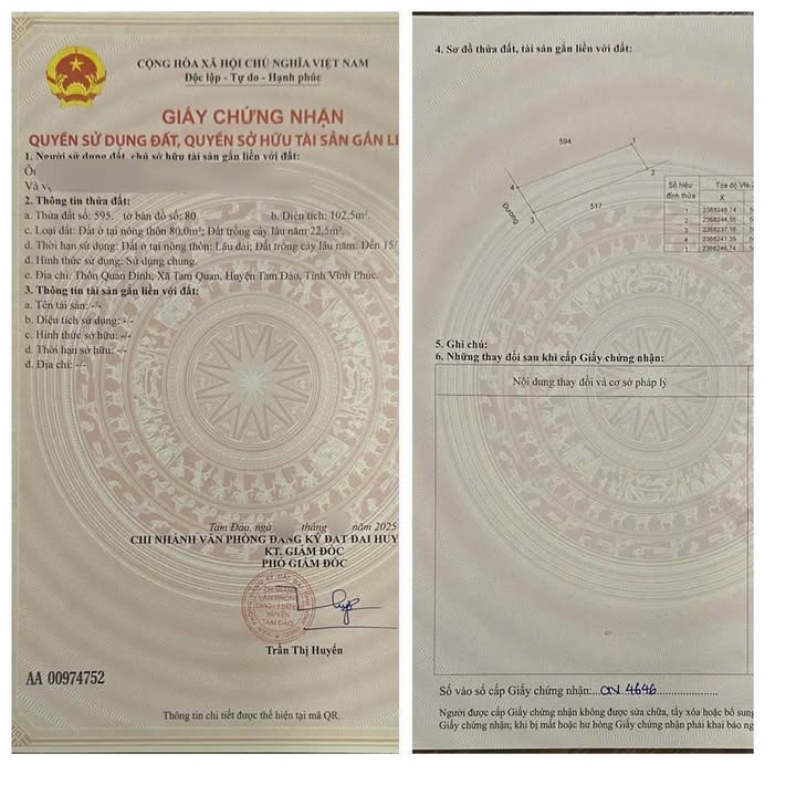 Đất nền trục chính Quan Đình, Tam Quan 102m² giá chỉ 1.3 tỷ - Cơ hội đầu tư hiếm có!