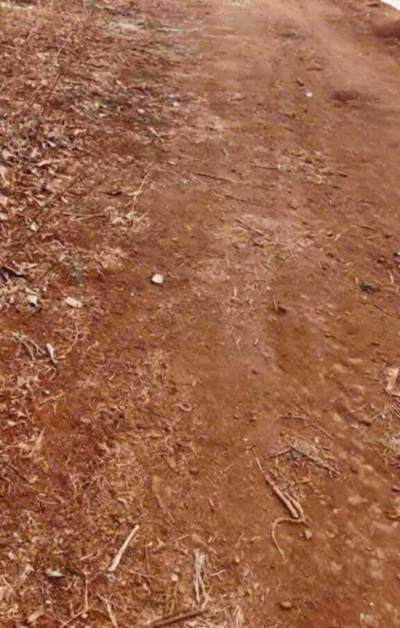 Đất nền xã Ea Drôh, huyện Krông Búk, Đắk Lắk 22.000 m² - Cơ hội đầu tư vàng!