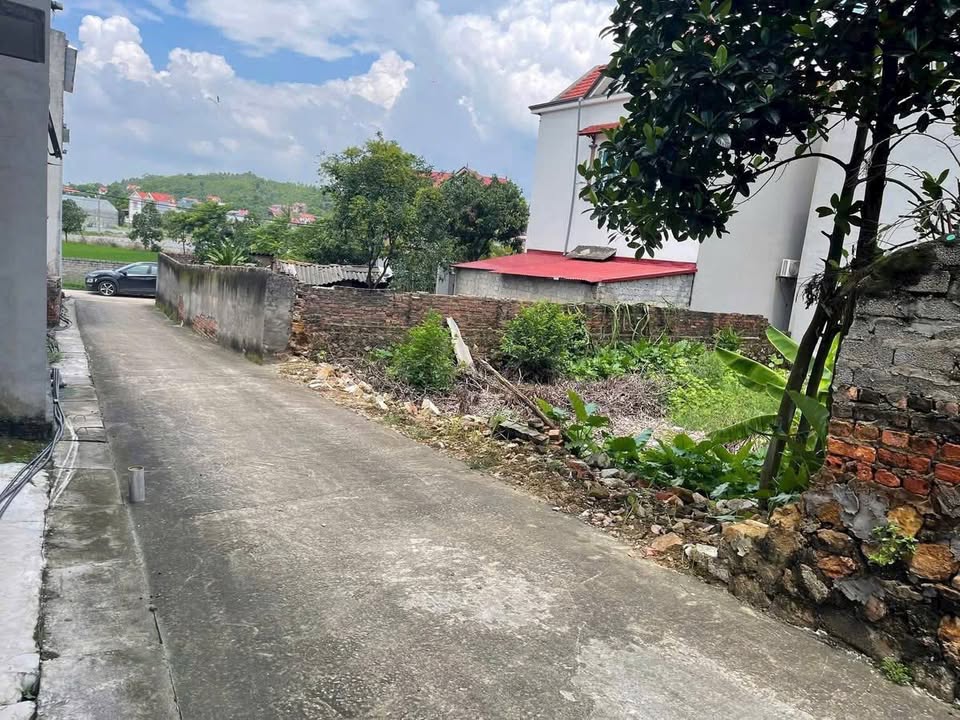 Đất thổ cư Đồng Việt Bắc Ninh 90m² giá chỉ 800 triệu - Tiềm năng đầu tư cao!