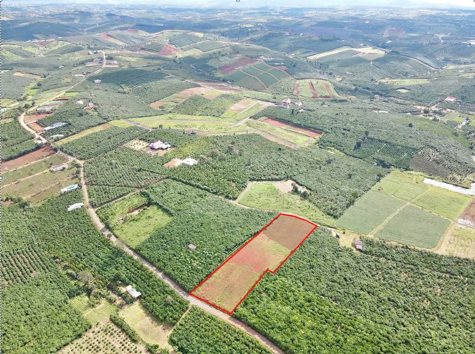 Đất lớn 2 mặt tiền Thôn 7, Đường 21, Bảo Lâm 5.500m² - Đầu tư dài hạn hấp dẫn!