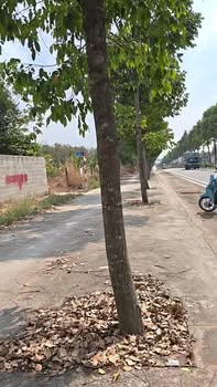 Đất nền 3 mặt tiền Mỹ Phước Bàu Bàng 2080m² - Đầu tư sinh lời ngay!