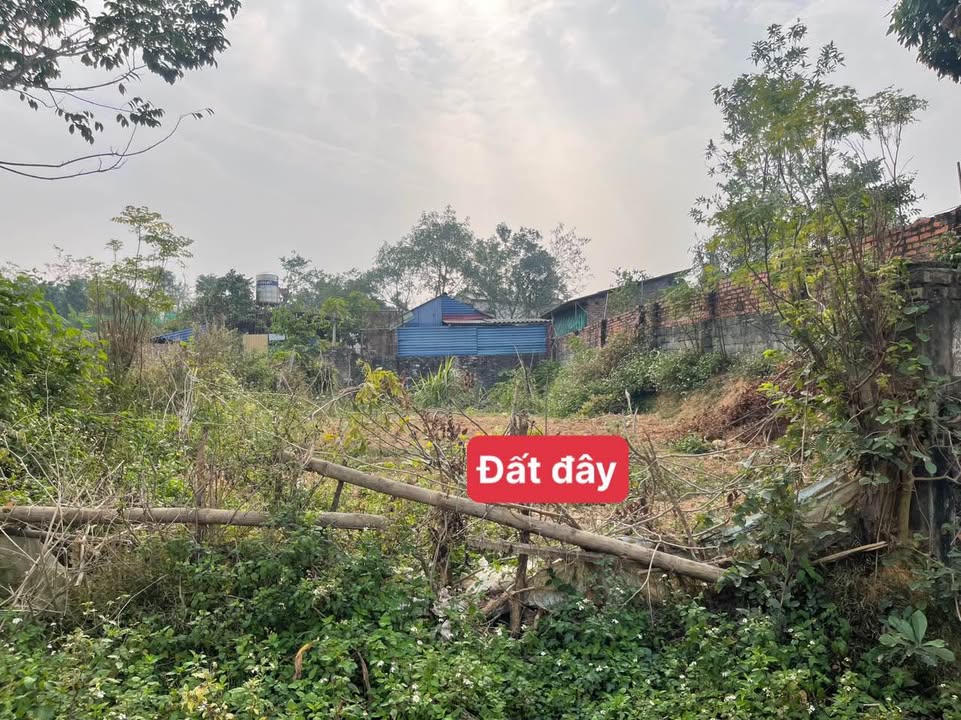 Đất thổ cư Hợp Châu 127,7m² giá 1 tỷ xx - Mặt tiền đường DT310, sẵn sàng sang tên!