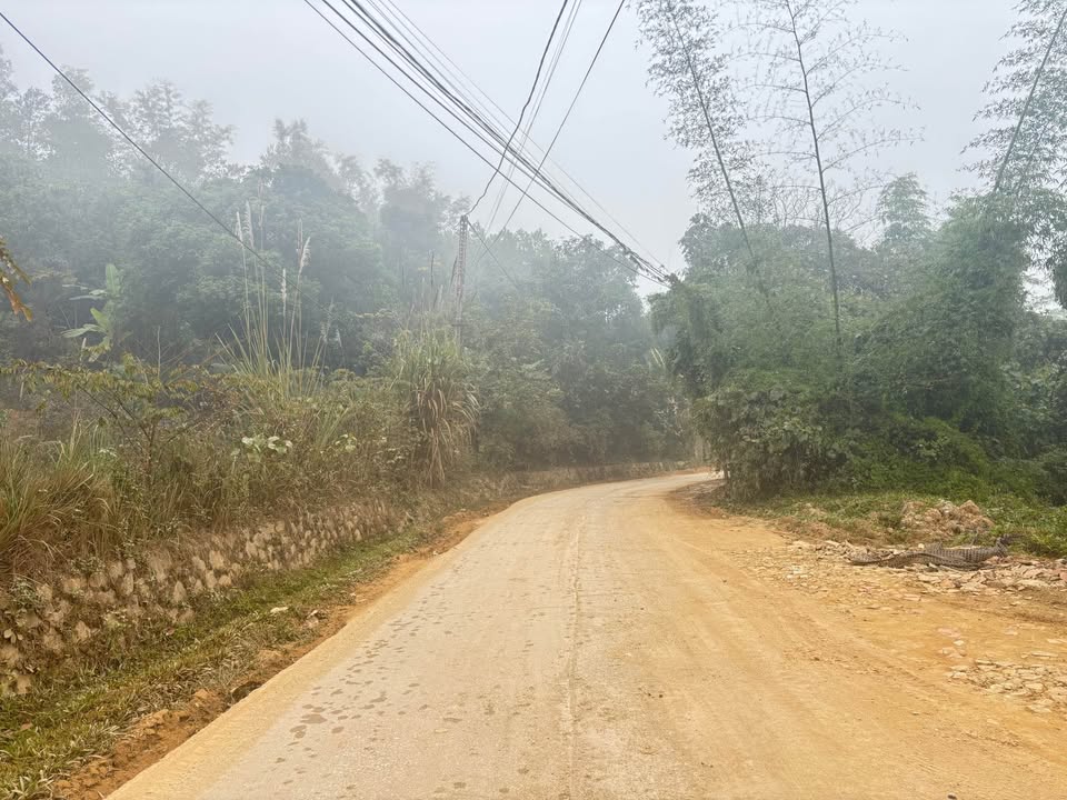 Đất nền Hòa An 325m² giá 2.x tỷ - Cơ hội đầu tư sinh lời!