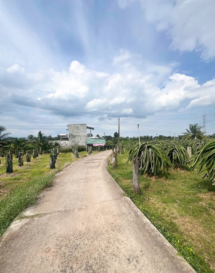 Đất nông nghiệp thôn Phú Nhang, Bình Thuận 544m² - Giá tốt đầu tư!