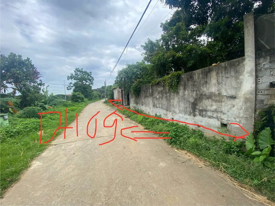 Đất thổ cư 400m² mặt tiền 20m tại xã Phú Cát, Hà Nội - Giá chỉ 8 tỷ!