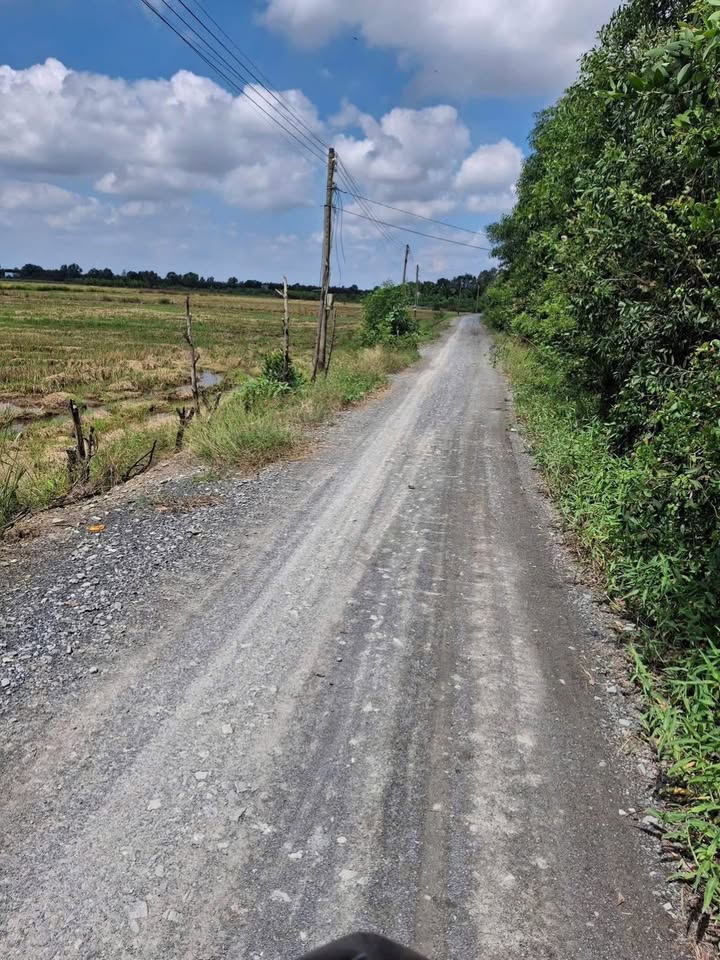 Đất nông nghiệp ấp 5 Mỹ Thạnh 40.000m² giá 960 triệu - Cơ hội đầu tư hấp dẫn!