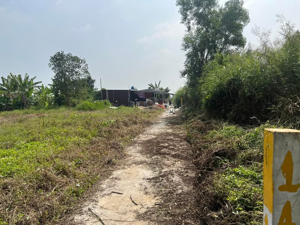 Đất nền 345m² xã Phước Vĩnh Tây, Tây Ninh - Giá 1,6 tỷ, Sổ hồng chính chủ!