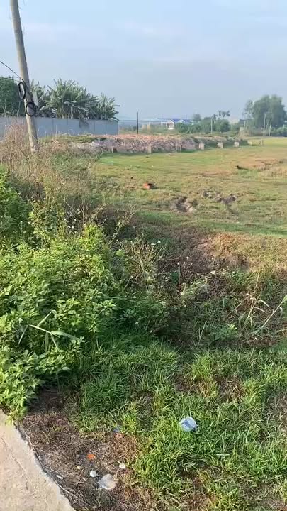 Đất thổ cư 850m² mặt tiền đường Đức Hòa Thượng 5.584m² - Sổ đỏ chính chủ!