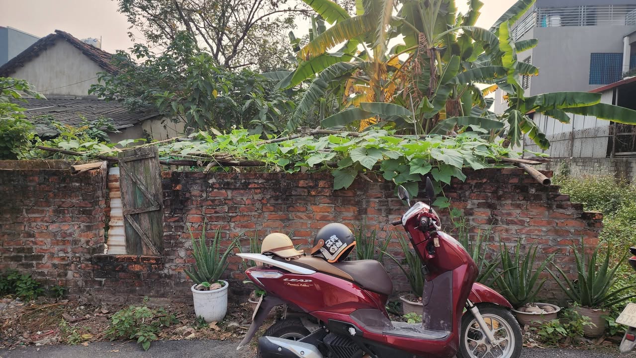 Đất nền Phường Đồng Tâm, Vĩnh Yên 176m² giá chỉ 2 tỷ - Nở hậu tài lộc!