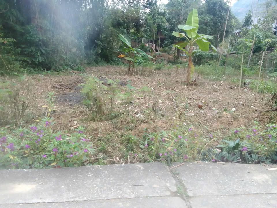 Đất thổ cư 100m² tại xóm Mỏ, Chiềng Châu, Mai Châu - Cơ hội đầu tư hấp dẫn!