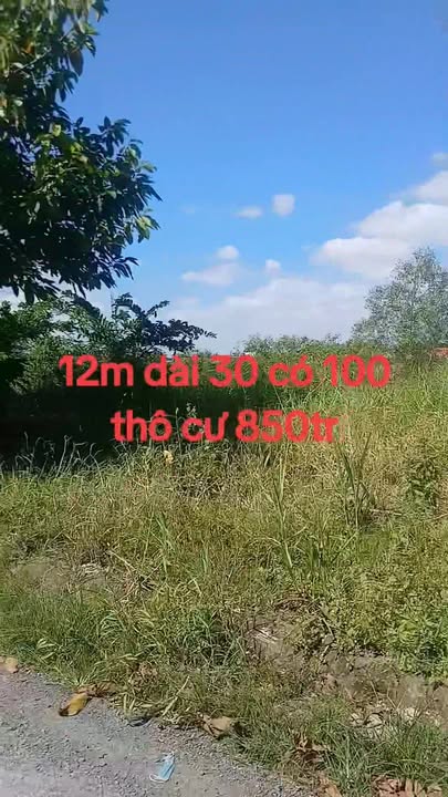 Đất mặt tiền nhựa Ninh Đồng, Gò Công Tây 360m² giá 850 triệu - Cơ hội đầu tư tuyệt vời!