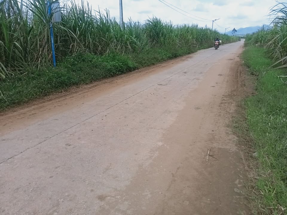 Đất thổ cư An Hoà Đức Bình Tây 300m² giá 600 triệu - Cơ hội đầu tư tuyệt vời!