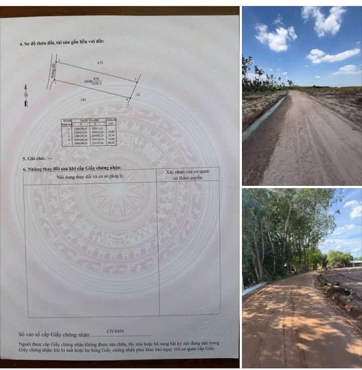 Đất nền 1000m² Thạnh Bình, Tân Biên giá 179 triệu - Sổ hồng chính chủ!