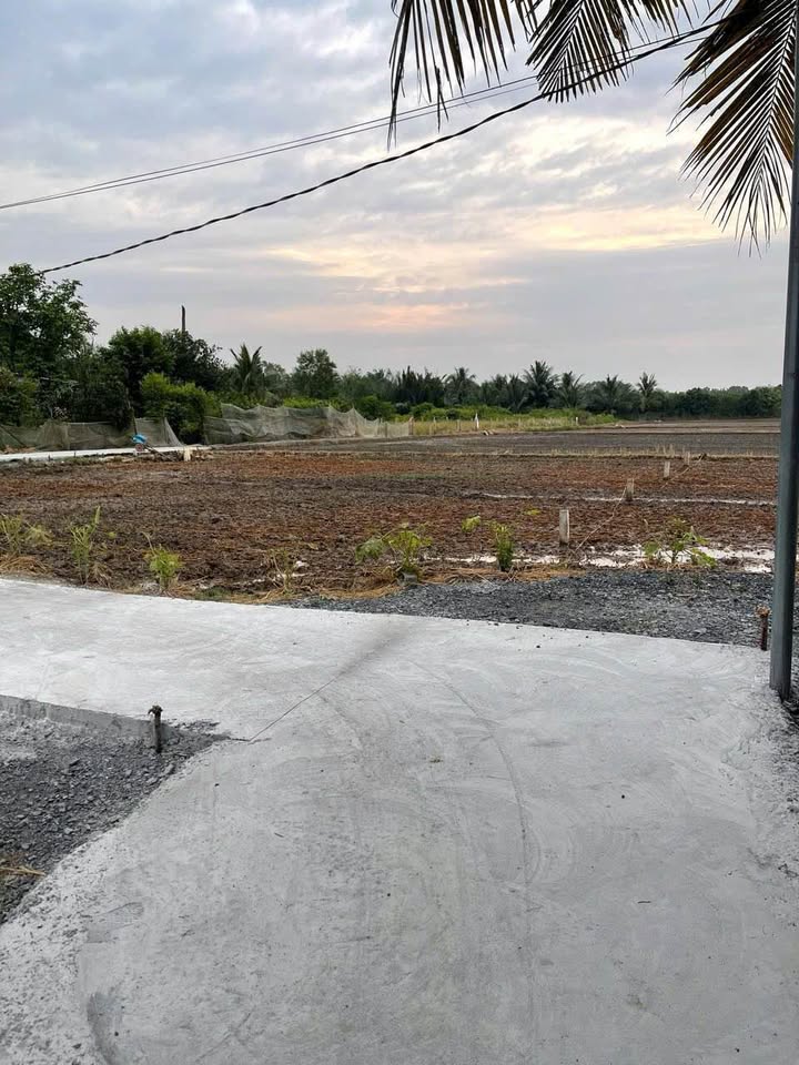 Đất thổ cư Ấp 3 xã Nhựt Chánh 100m² giá chỉ 580 triệu - Sổ hồng chính chủ!