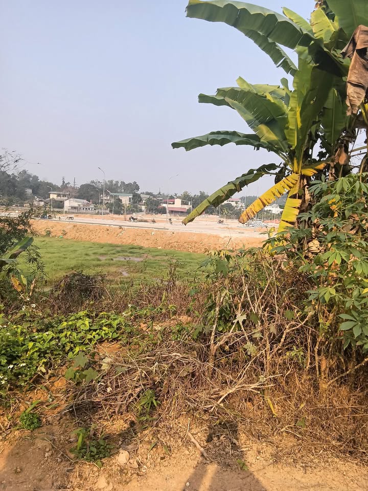 Đất nền Phường An Tường, Tuyên Quang 125m² giá 3 tỷ - Chính chủ cần bán gấp!