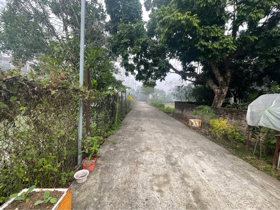 Đất thổ cư tại Tân Hà, Tuyên Quang 170m² giá 1.25 tỷ - Sổ đỏ chính chủ, không cần móng!