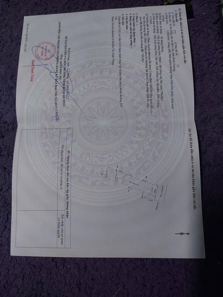 Đất nền mặt tiền DT748, An Điền, Bến Cát 1008m² - Giá tốt thương lượng!