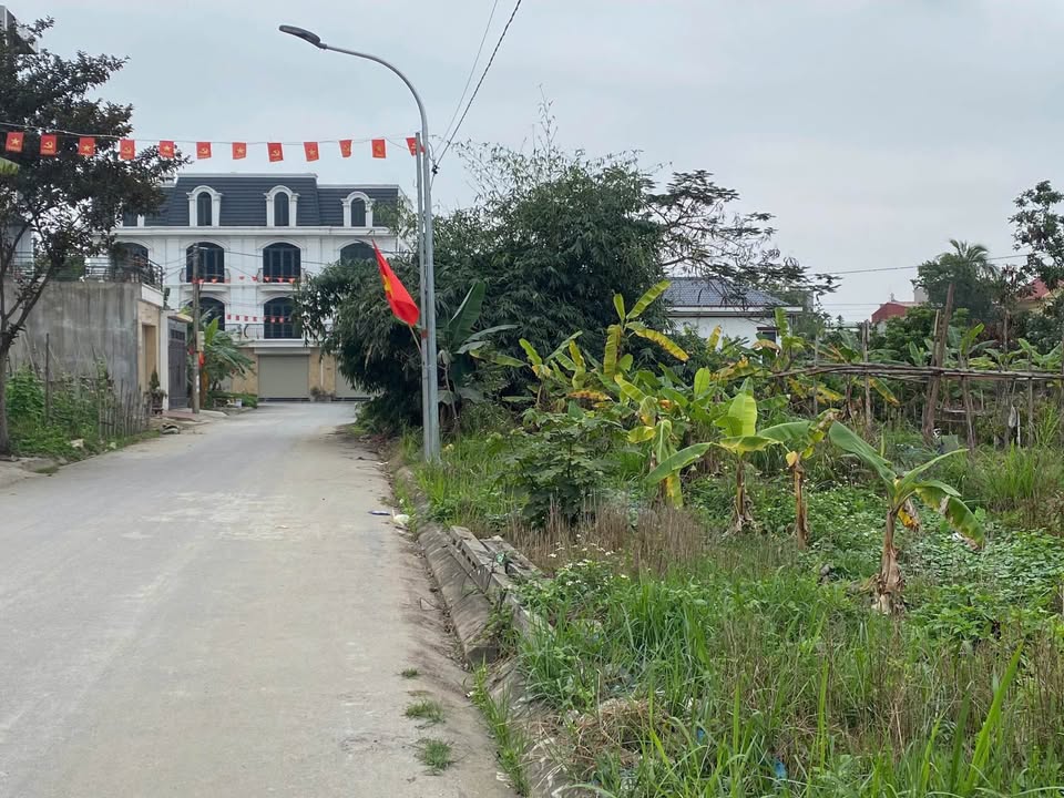 Đất nền Chung Cư TDP Lương Quán 294m² giá 5.586 tỷ - Cơ hội đầu tư hiếm có!