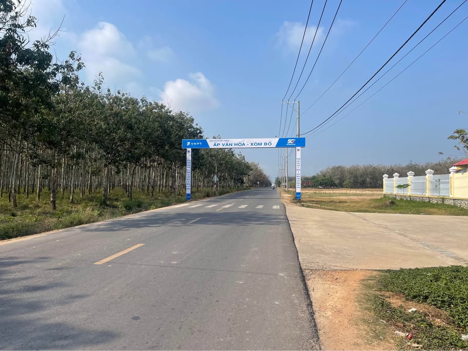 Đất thổ cư 369m² tại Xóm Bố, Hiệp Thạnh, Gò Dầu - Đầu tư sinh lời ngay!