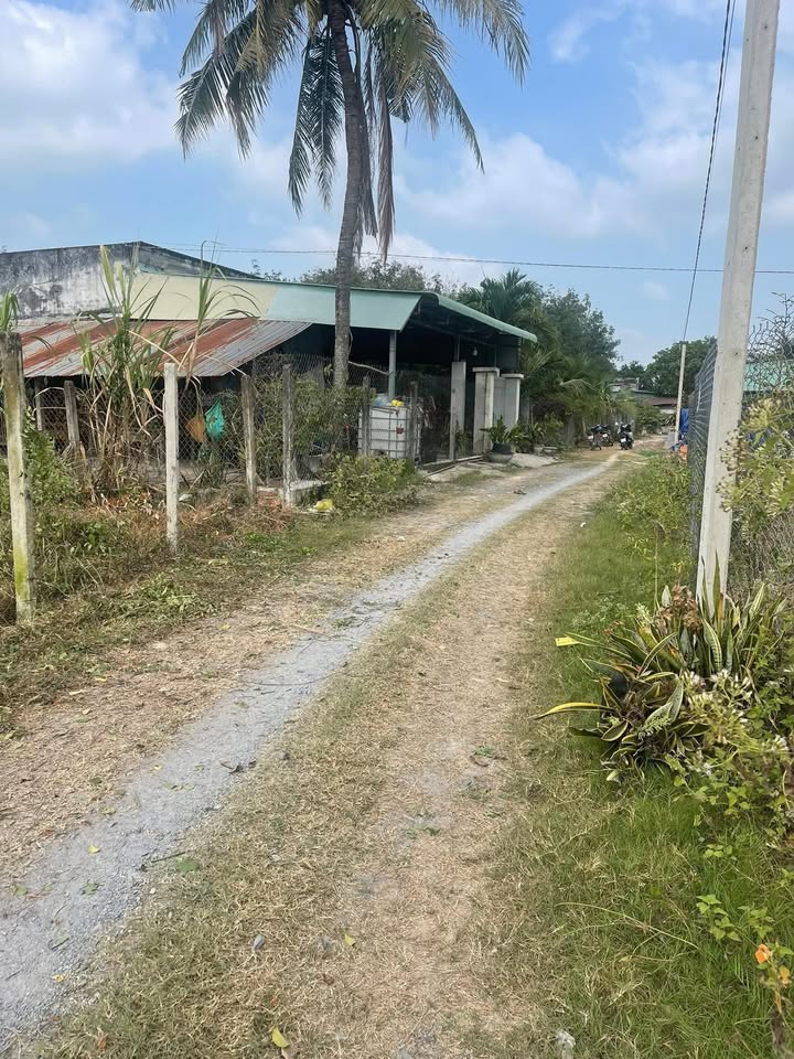 Đất thổ cư 175m² tại Ấp Thuận Hòa, Bến Cầu, Tây Ninh - Giá chỉ 295 triệu, đầu tư sinh lời!