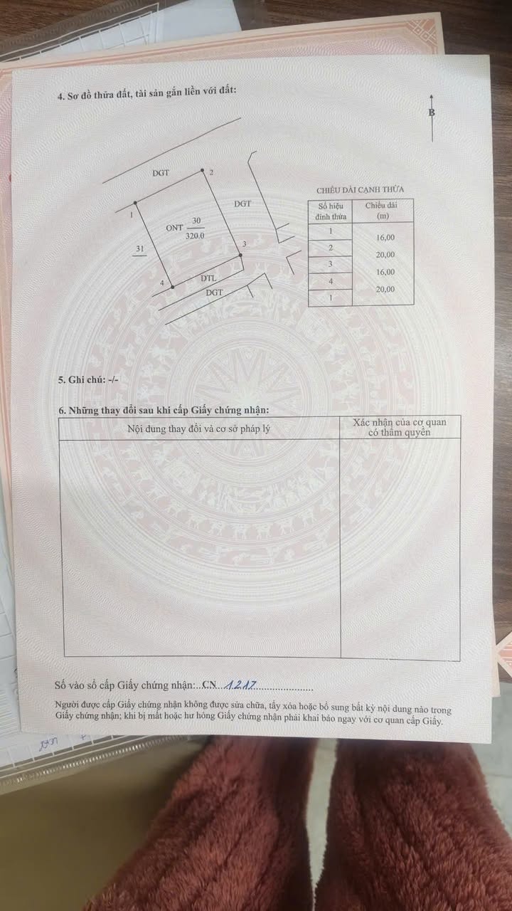 Đất nền góc 3 mặt tiền tại Đông Hưng, Tiên Lãng - Đầu tư chỉ 2.24 tỷ!