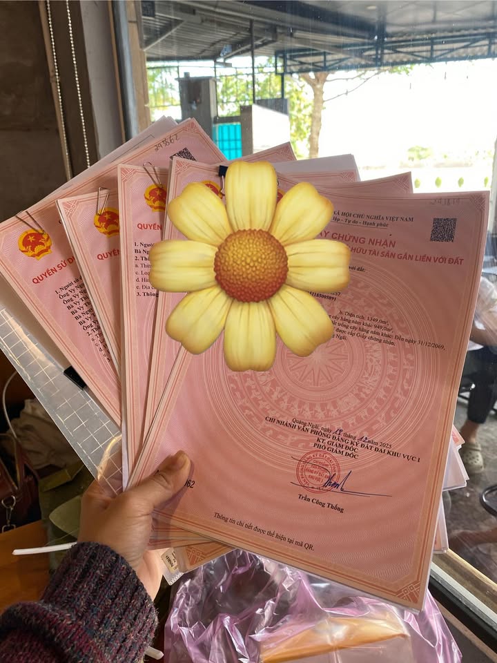 Đất ở Bình Châu, Bình Sơn 250m² giá 1 tỷ - Bán gấp, pháp lý đầy đủ!