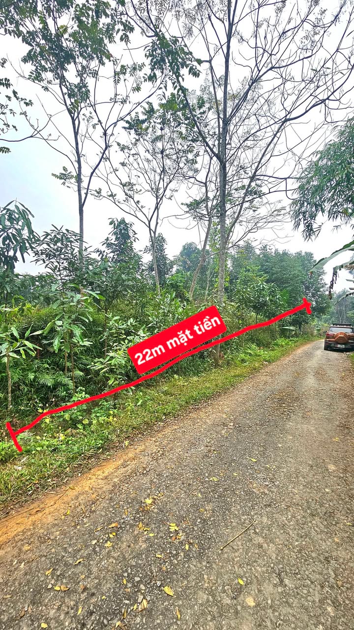 Đất nền xã Xuân Viên, huyện Yên Lập, 500m² giá chỉ 400 triệu - Mặt tiền rộng 22m!