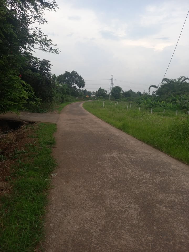 Đất thổ cư 104m² tại Ấp 1, Xã Sông Nhạn, giá chỉ 7xx triệu - Bán gấp trước Tết!