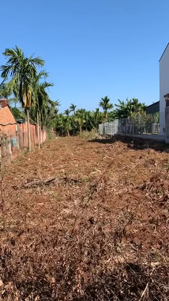 Đất thổ cư 600m² tại thôn Phước Lộc 5, Huyện Krông Pắc giá 1.65 tỷ - Sổ hồng chính chủ, bớt lộc cho khách thiện chí!