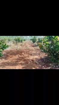 Đất nền 2.86ha tại đường đi ko Lê, Tân Phú, Đồng Nai - Giá chỉ 4.86 tỷ, thương lượng tốt!