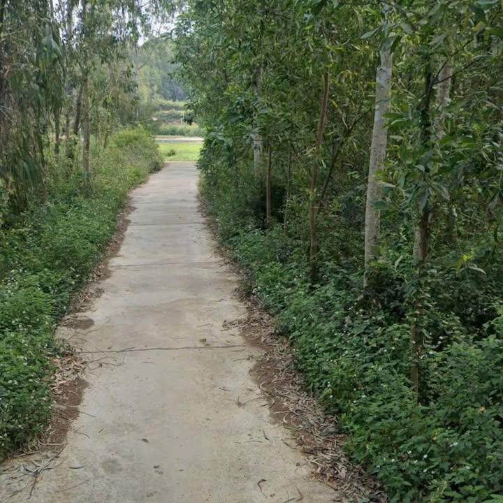 Đất nền LUK Bình Hải 490m² giá 99 triệu - Gần biển Gành Yến chỉ 5 phút!