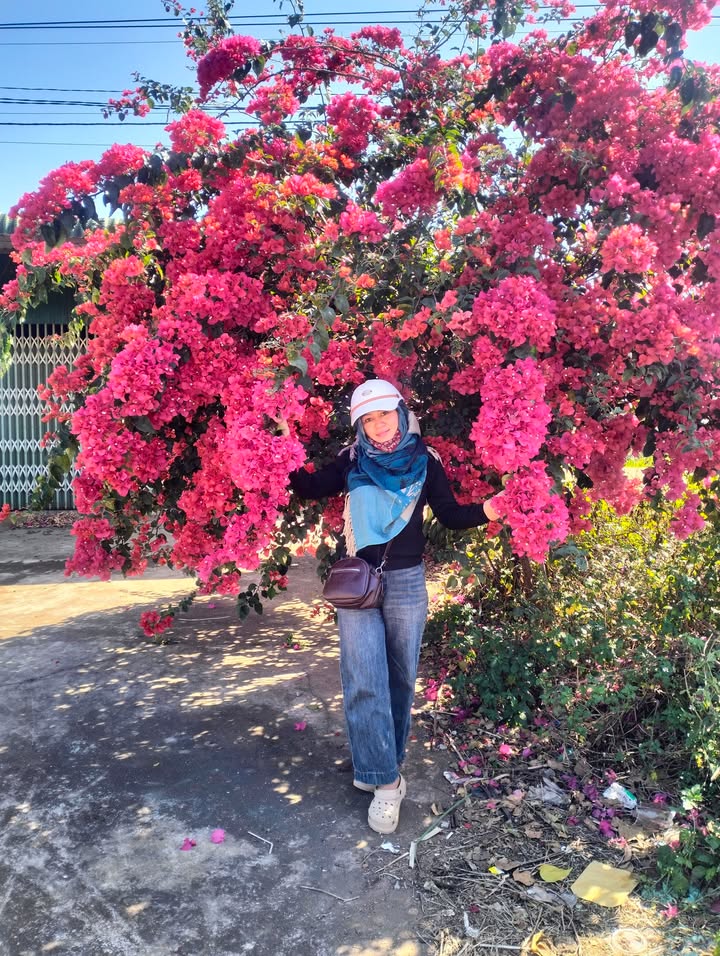 Đất nền Hòa An, Buôn Ma Thuột 200m² giá 2.3 tỷ - Góc 2 mặt tiền đắc địa!