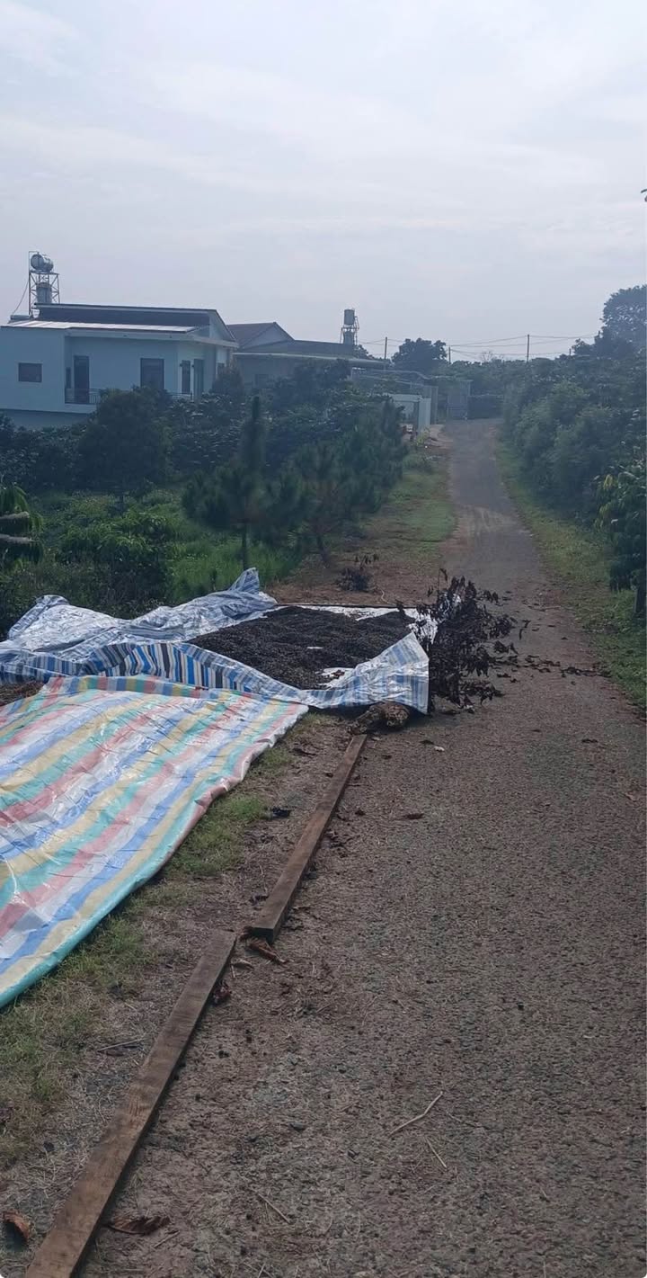 Đất thổ cư Thôn 13, Xã Lộc Thành 570m² giá chỉ 1.09 tỷ - Cơ hội đầu tư tuyệt vời!