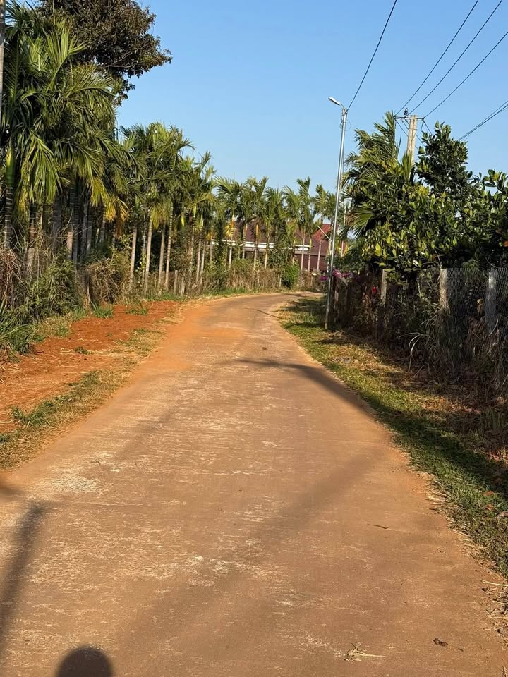 Đất nền 1500m² tại lộ 14, Huyện Tuy Đức, Đắk Nông - Giá đầu tư chỉ 71 tỷ!