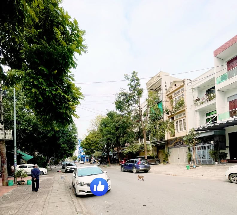 Nhà phố Đinh Liệt, Thanh Hóa 88m² giá 8 tỷ - Kinh doanh sầm uất!