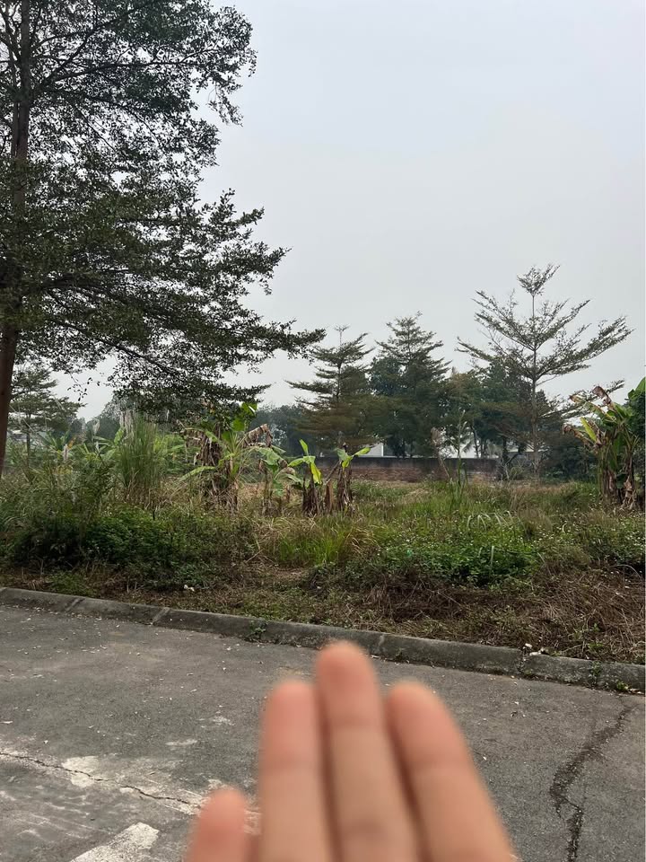 Đất nền Đồi Sen, Bình Yên 60.4m² giá 2 tỷ - Cơ hội đầu tư hấp dẫn!