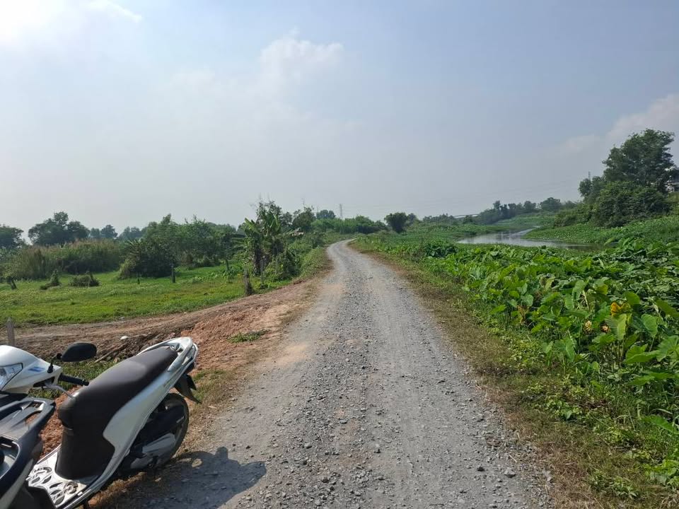 Đất nền Bình Mỹ Củ Chi 600m² giá 1.8 tỷ - Mặt tiền kênh cây xanh thoáng mát!