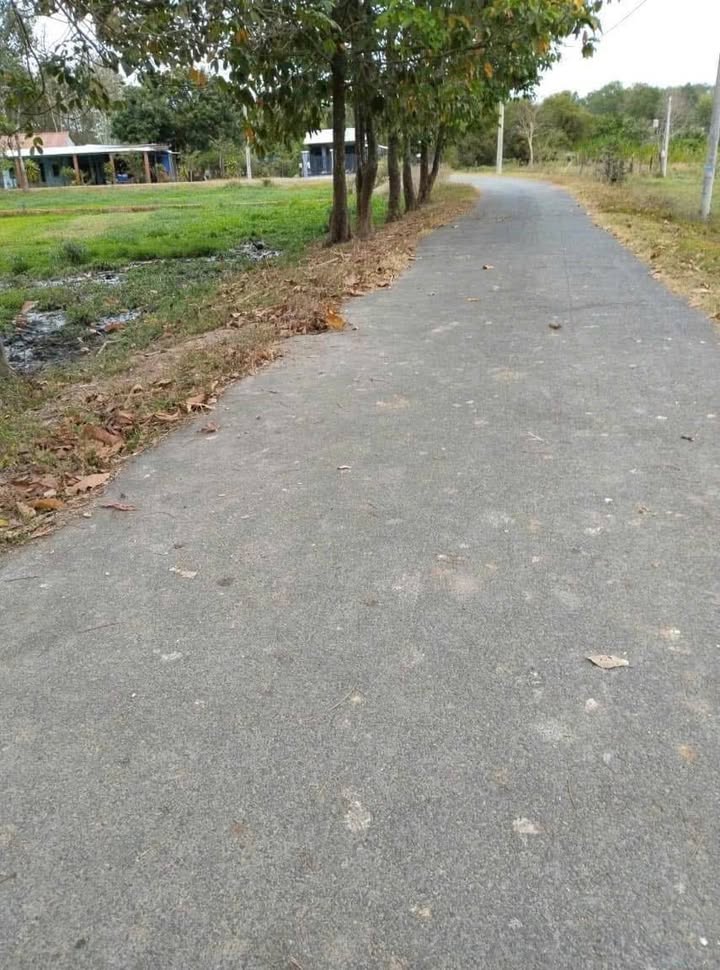 Đất nền 929m² tại Thái Mỹ, Củ Chi - Mặt tiền đường nhựa, giá chỉ 2 tỷ!