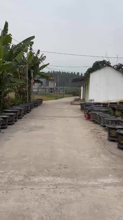 Đất thổ cư 500m² tại Thị trấn Vôi, Bắc Giang - Giá thỏa thuận, đường ô tô tránh nhau