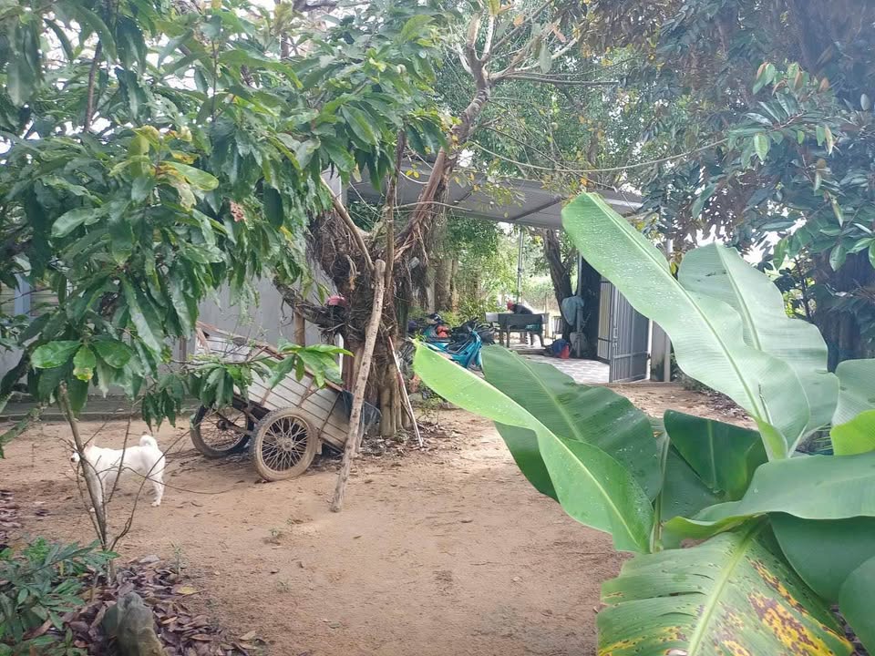 Lô đất mặt tiền tỉnh lộ 2 Diên Thọ 2350m² giá 5.6 tỷ - Đầu tư sinh lời ngay!