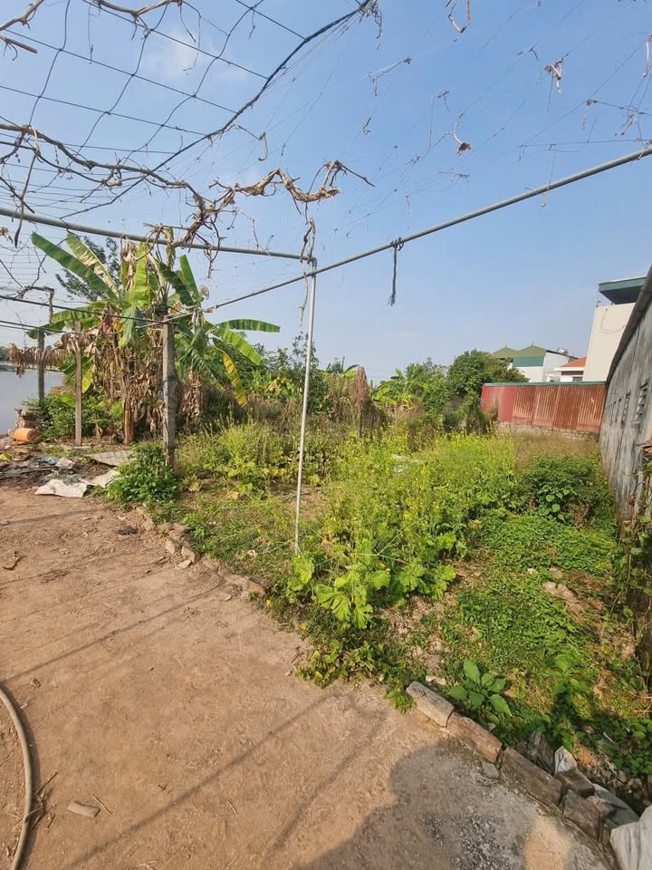 Đất nền Đô Quan, Thượng Phúc 80m² giá 5 tỷ - Cơ hội đầu tư sinh lời nhanh!