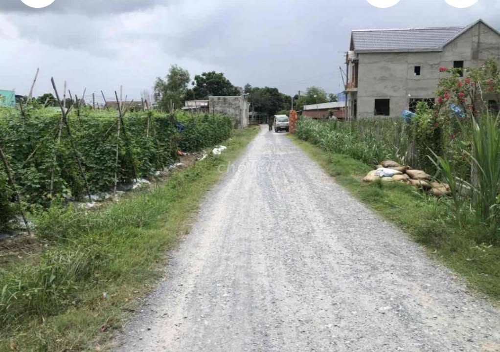 Đất nền xã Tân Thạnh Đông, huyện Củ Chi 1740m² giá 8.5 tỷ - Sổ đỏ chính chủ