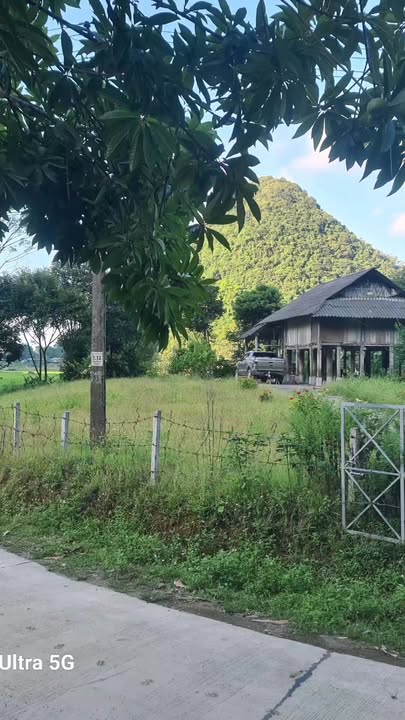 Đất nền Phú Cường, Tân Lạc 2000m² - Bám mặt đường bê tông rộng, giá thỏa thuận!