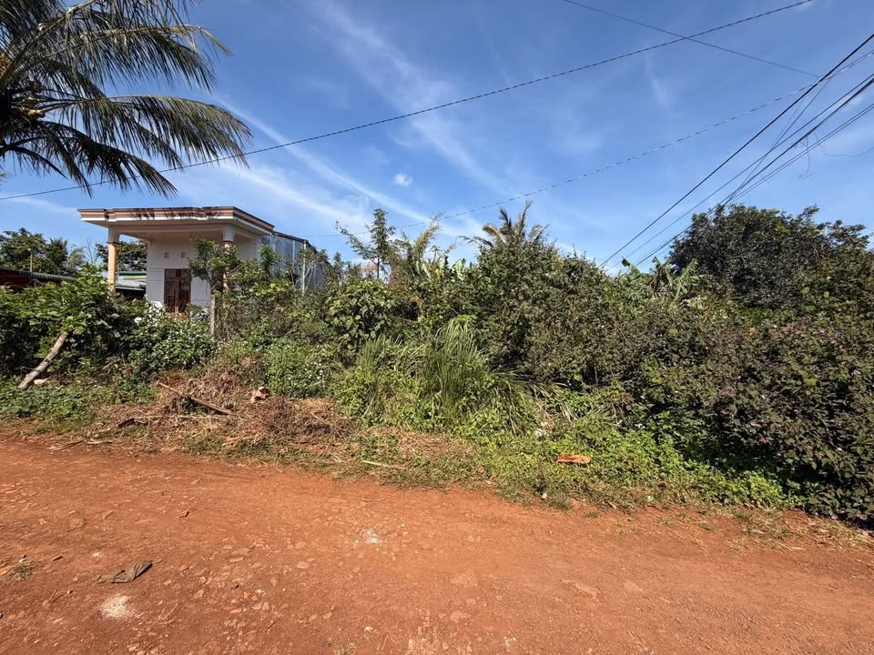 Đất nền Y Đôn, Phường An Lạc 113m² giá 820 triệu - Cơ hội đầu tư hấp dẫn!